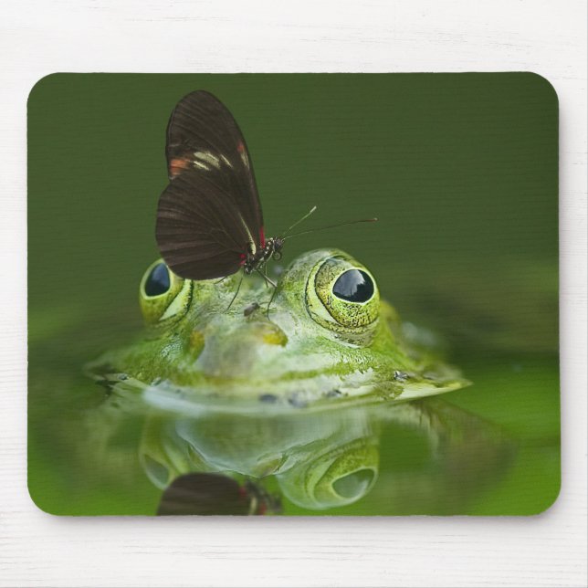 Niedlicher Frosch mit einem Schmetterling auf der  Mousepad (Vorne)