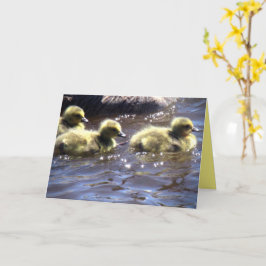 Niedlicher Frühling Goslings Baby Gänse schwimmen Karte
