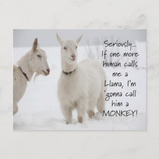 Niedlicher Funny Animal Goat Joat Postkarte