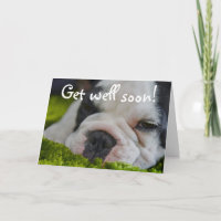 Niedlicher Funny French Bull Hund - Grußkarte