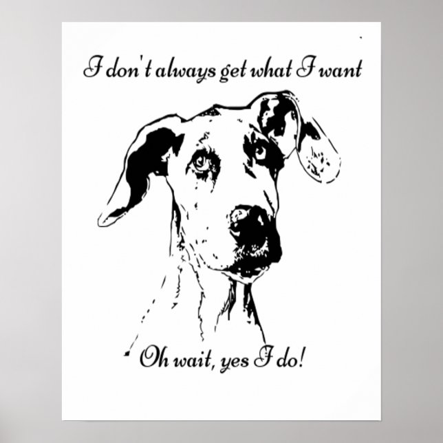 Niedlicher Funny Great Dane Zitat verwöhnt Begleit Poster (Vorne)