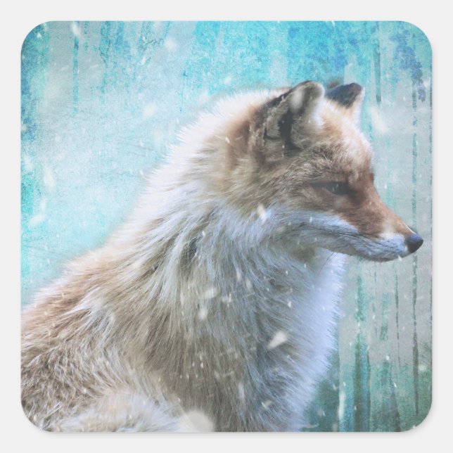 Niedlicher Furry Fox auf Blue Grunge Hintergrund Quadratischer Aufkleber (Vorderseite)