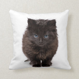 Niedlicher gähnender Kitty auf einem Kissen