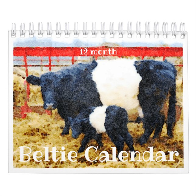 Niedlicher Galloway Beltie Strippenkuhkalender Kalender (Titelbild)