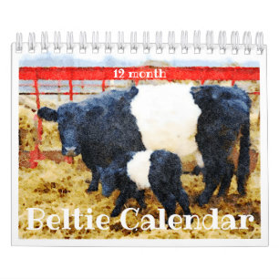Niedlicher Galloway Beltie Strippenkuhkalender Kalender