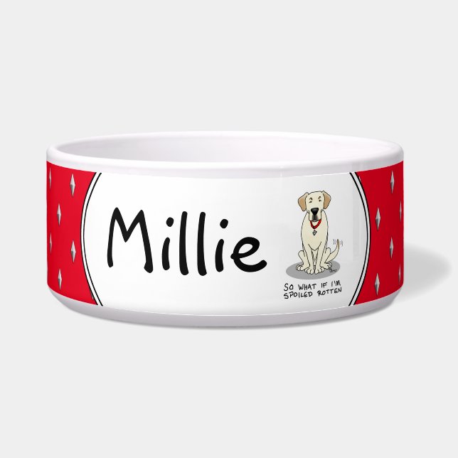 Niedlicher gefleckter Rottengelber Rückgrat Napf (Vorderseite)