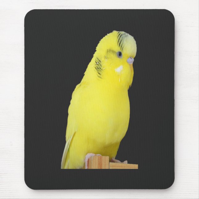 niedlicher gelber Wellensittich Mousepad (Vorne)