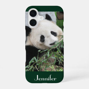 Niedlicher Gigant Panda dunkelgrüner Hintergrund, iPhone 16 Hülle