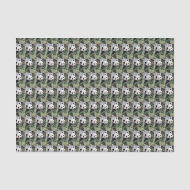 Niedlicher Gigant Panda grün schwarz und weiß Seidenpapier (Vorderseite)
