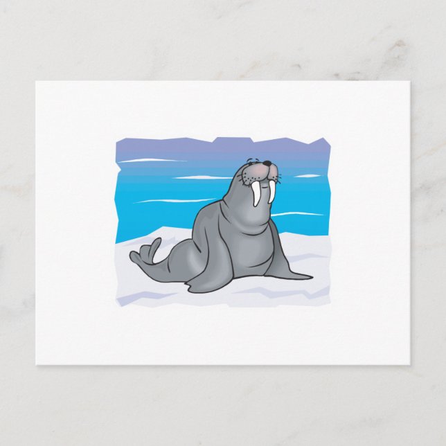 niedlicher Glattwal Postkarte (Vorderseite)