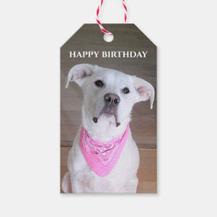 Niedlicher glücklicher weißer Hund mit Seelenaugen Geschenkanhänger