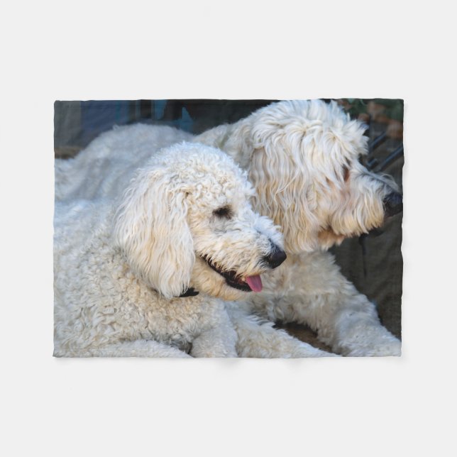 Niedlicher Golden Doodle-Hintergrund Fleecedecke (Vorderseite (Horizontal))
