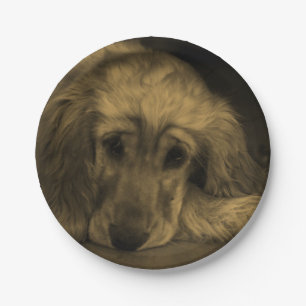 Niedlicher Golden Retriever Dog ablegen Pappteller