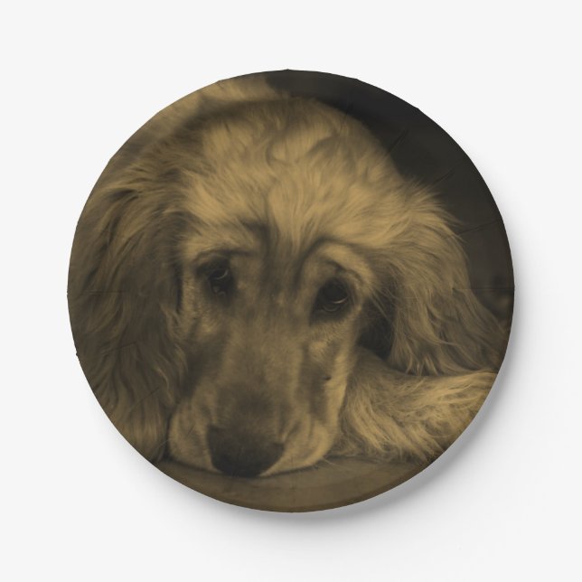 Niedlicher Golden Retriever Dog ablegen Pappteller (Vorderseite)