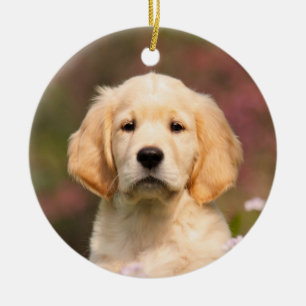 Niedlicher Golden Retriever Dog Puppy-Decke Keramik Ornament