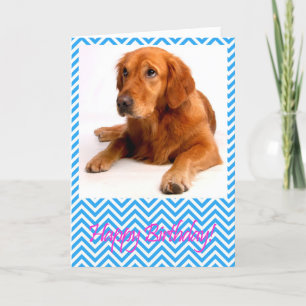 Niedlicher Golden Retriever Hund Happy Birthday Ca Karte