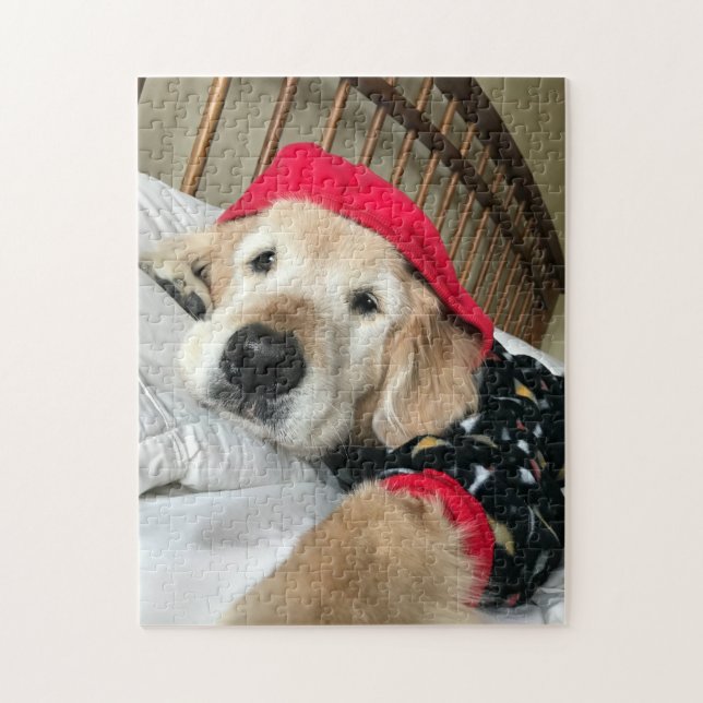 Niedlicher Golden Retriever Hund in Pajamas (Vertikal)