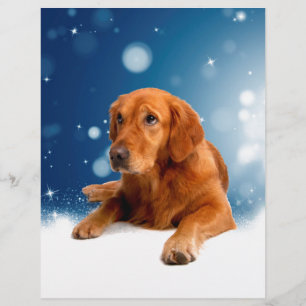 Niedlicher Golden Retriever Hund sitzt in Schneest Briefkopf