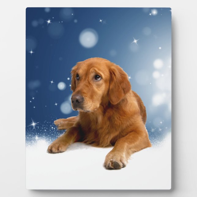Niedlicher Golden Retriever Hund sitzt in Schneest Fotoplatte (Vorderseite)