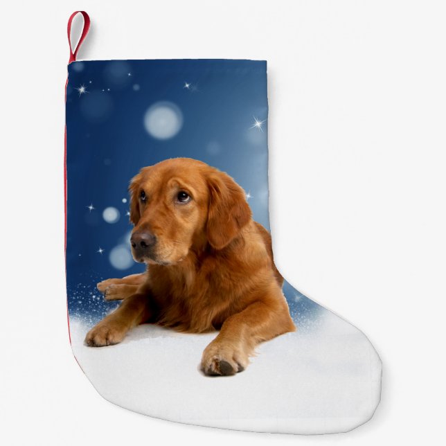 Niedlicher Golden Retriever Hund sitzt in Schneest Kleiner Weihnachtsstrumpf (Vorderseite)