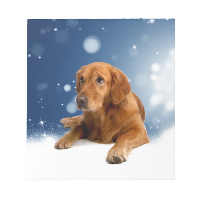 Niedlicher Golden Retriever Hund sitzt in Schneest Notizblock (Vorderseite)
