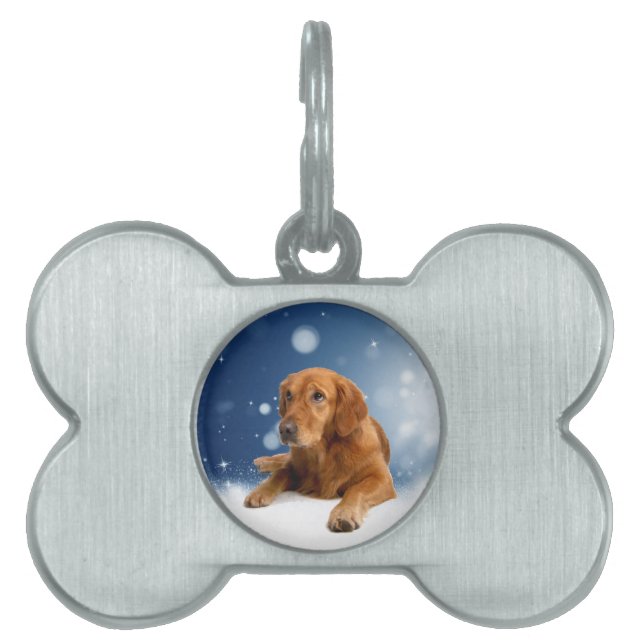 Niedlicher Golden Retriever Hund sitzt in Schneest Tiermarke (Vorderseite)