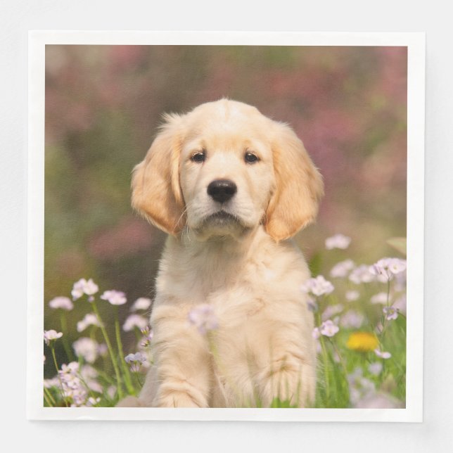 Niedlicher Golden Retriever Hund Welpe Face Animal Serviette (Vorderseite)