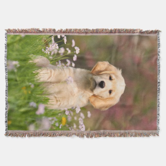 Niedlicher Golden Retriever Hund Welpe, gemütliche Decke (Vorderseite)