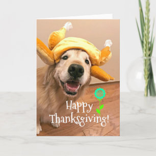 Niedlicher Golden Retriever in der Türkei Hat Ernt Feiertagskarte