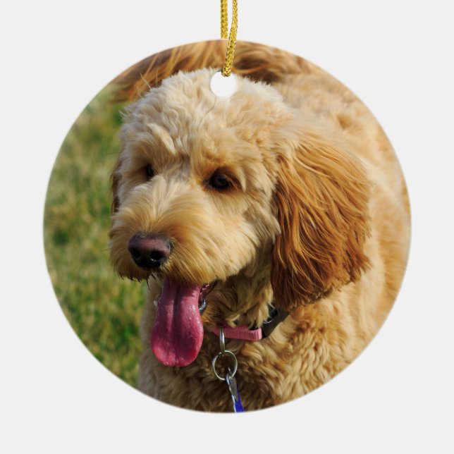 Niedlicher Goldendoodle Hund Keramik Ornament (Vorne)