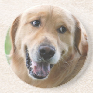 Niedlicher goldener Retriever-Untersetzer Sandstein Untersetzer