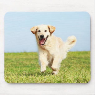 Niedlicher goldener Retriever-Welpe, der auf Gras Mousepad