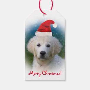 Niedlicher goldener Retriever-Welpen-tragende Geschenkanhänger