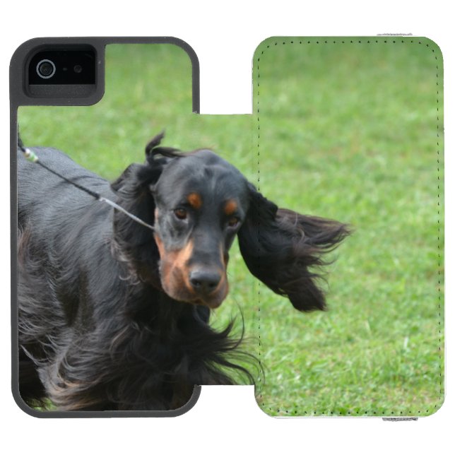 Niedlicher Gordon-Setzer Incipio iPhone Geldbeutel-Hülle (Folio Geöffnet)
