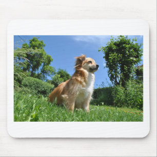 Niedlicher Grashund Mousepad