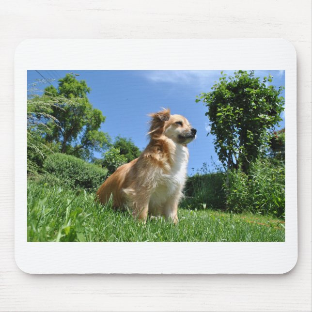 Niedlicher Grashund Mousepad (Vorne)