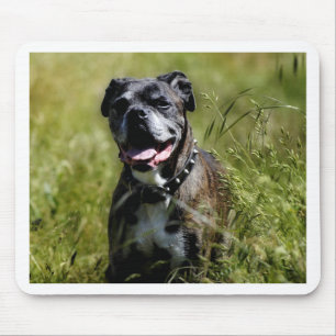 Niedlicher Grashund Mousepad