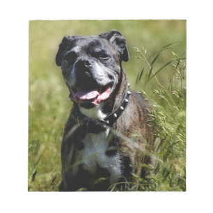 Niedlicher Grashund Notizblock