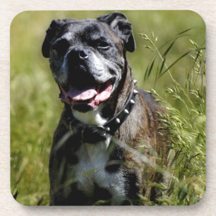 Niedlicher Grashund Untersetzer