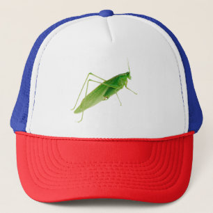 niedlicher Grasshopper - Bauer Truckerkappe