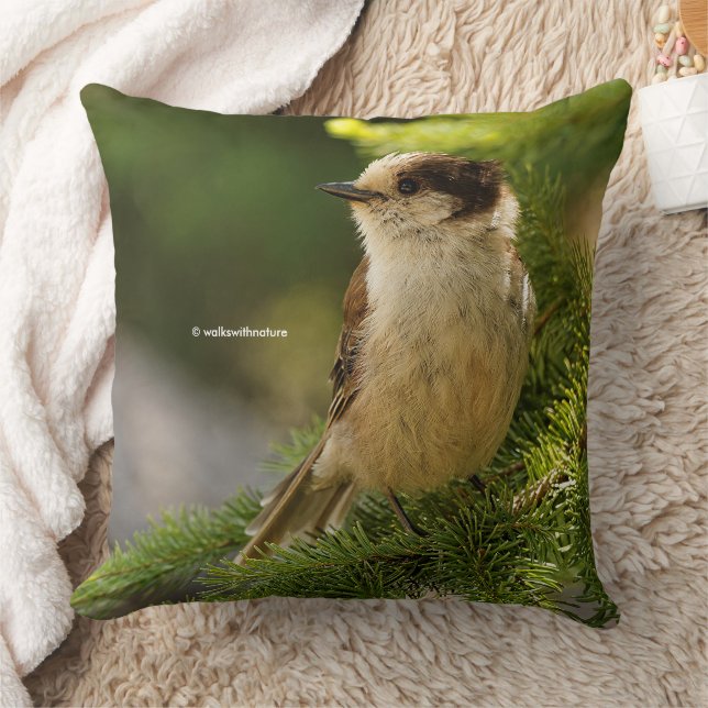 Niedlicher grauer Jay Whiskeyjack Songbird in Coni Kissen (Decke)