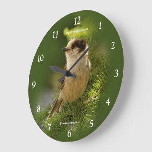 Niedlicher Grauhäher Whiskeyjack Singvogel in Tann Große Wanduhr