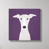 Niedlicher Grauhund, italienischer Grauhund oder W