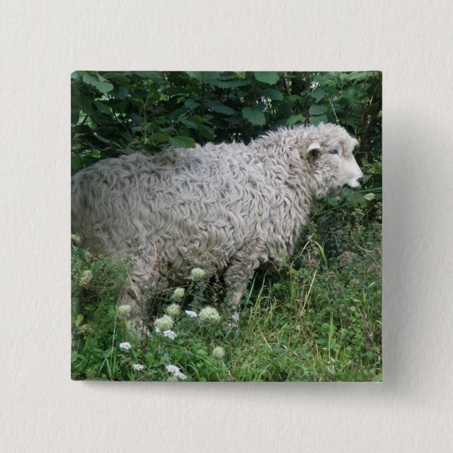 Niedlicher Greedy Sheep Eating Button (Vorderseite)