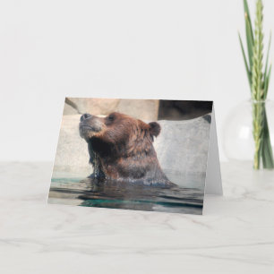 Niedlicher Grizzlybär im Wasser Dankeskarte