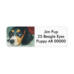 Niedlicher großer Augen-Beagle-Welpe