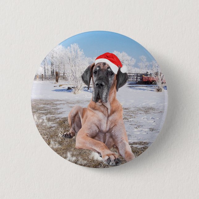 Niedlicher Großer Däne Hund sitzend im Schneehuhhu Button (Vorderseite)