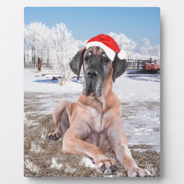 Niedlicher Großer Däne Hund sitzend im Schneehuhhu Fotoplatte (Vorderseite)