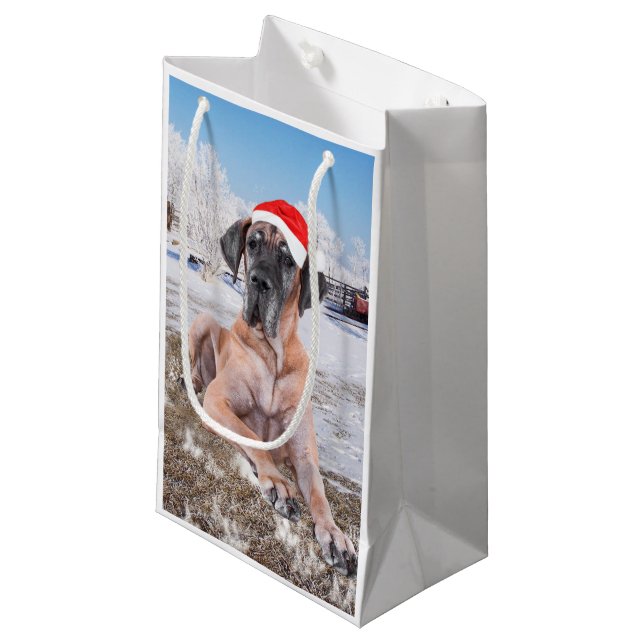 Niedlicher Großer Däne Hund sitzend im Schneehuhhu Kleine Geschenktüte (Vorderseite Schrägansicht)