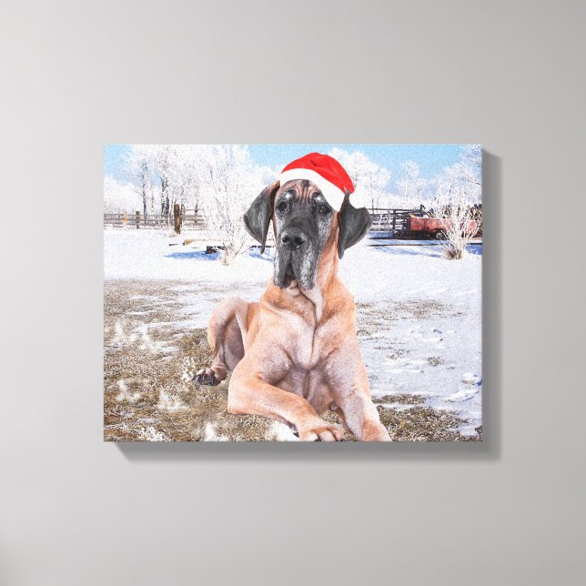Niedlicher Großer Däne Hund sitzend im Schneehuhhu Leinwanddruck (Vorderseite)